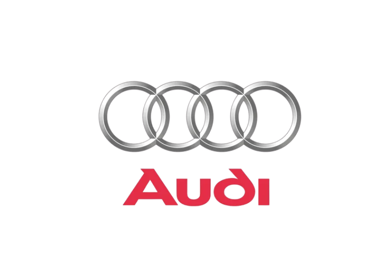 audi - Ford Wet Belts