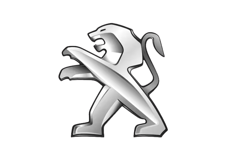 peugeot - Ford Wet Belts
